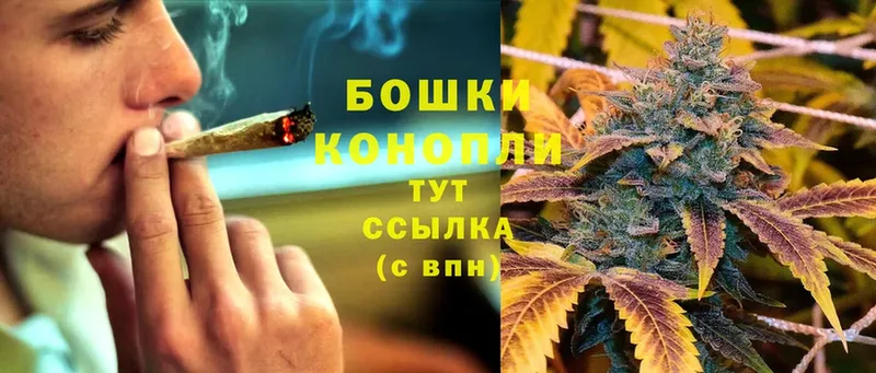 купить   Плёс  Канабис OG Kush 